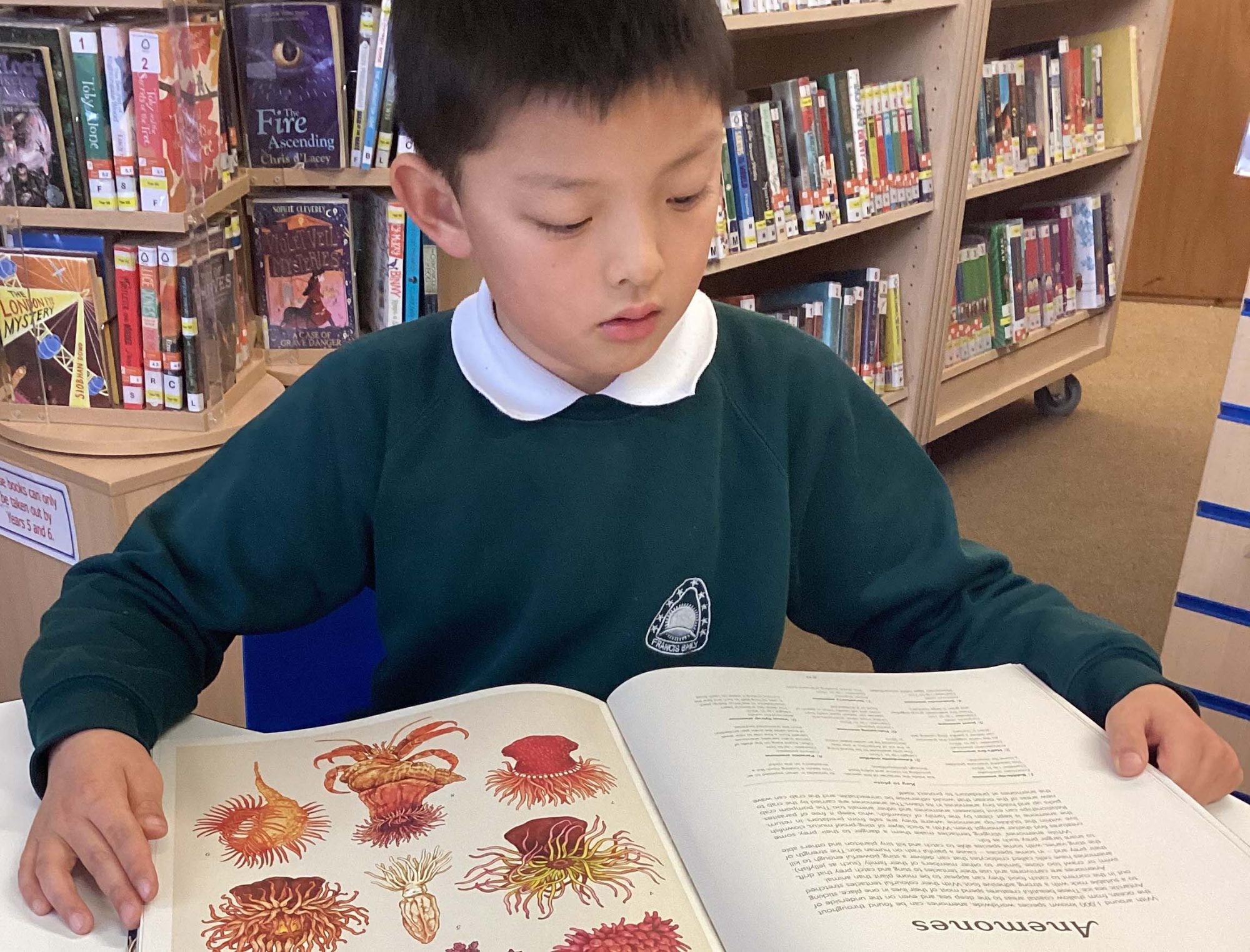 Francis Baily pupil reading a book in a classroom setting.
